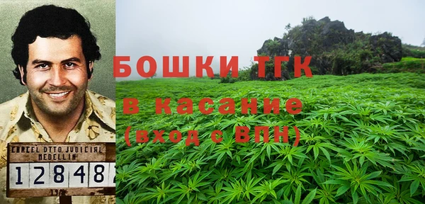 2c-b Горняк