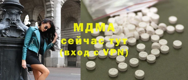 ГАЛЛЮЦИНОГЕННЫЕ ГРИБЫ Гусев