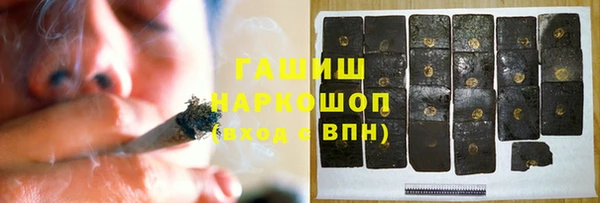 ГАЛЛЮЦИНОГЕННЫЕ ГРИБЫ Гусев