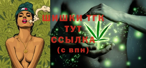 дурь Пестово