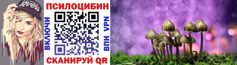 Псилоцибиновые грибы Psilocybe  Чайковский 