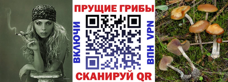 Псилоцибиновые грибы Magic Shrooms Чайковский